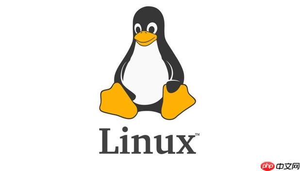 Linux 如何检测网络被劫持情况_Linux 网络安全排查技巧