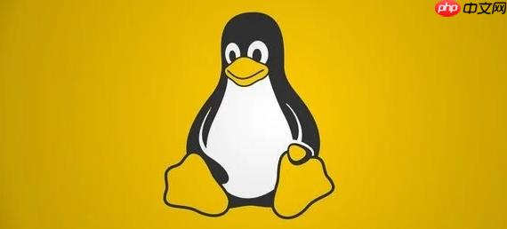 Linux 如何进行系统安全风险扫描_Linux 漏洞扫描实战操作