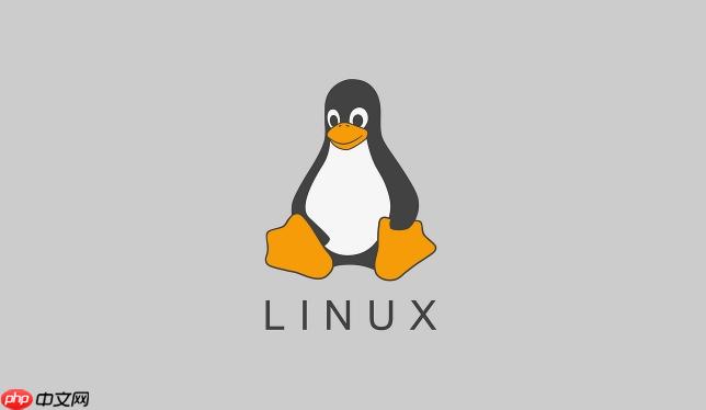 Linux 怎么检测重复文件?fdupes 使用教程