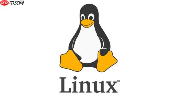 Linux 解压缩怎么做？zip、tar、gzip 最全用法