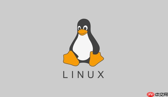 为什么每个程序员都要学 Linux？实用场景总结