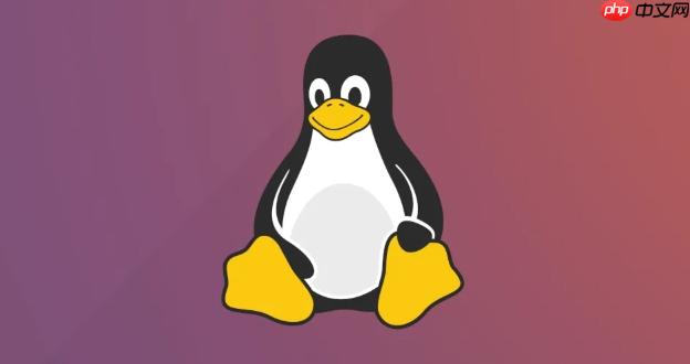 Linux 从零开始:小白快速上手最常见的目录结构