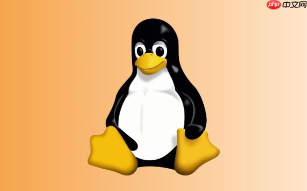 Linux curl 怎么发送 POST/JSON 请求?标准格式
